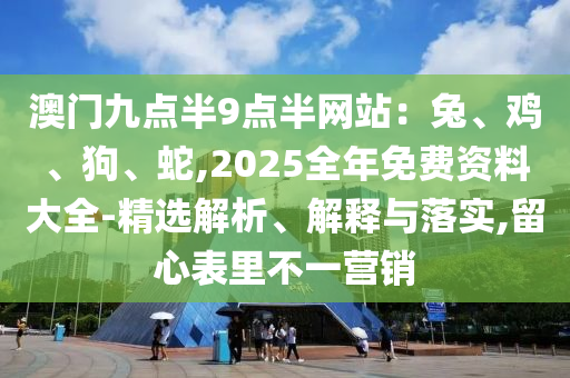 澳門(mén)九點(diǎn)半9點(diǎn)半網(wǎng)站：兔、雞、狗、蛇,2025全年免費(fèi)資料大全-精選解析、解釋與落實(shí),留心表里不一營(yíng)銷(xiāo)